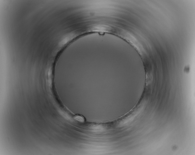 X0000102410349200808152010