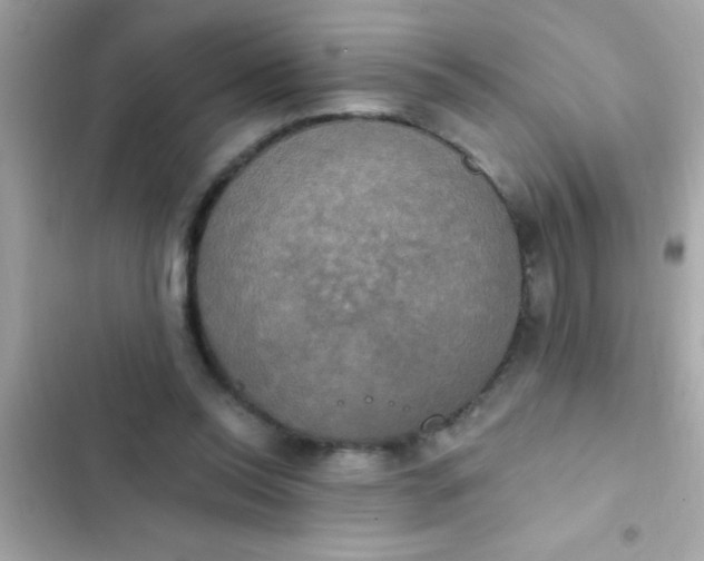 X0000102410350200808152010