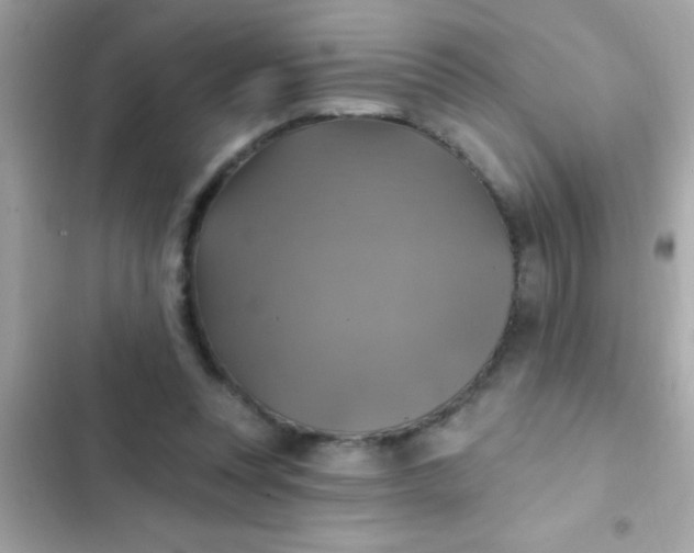 X0000102410351200808152010