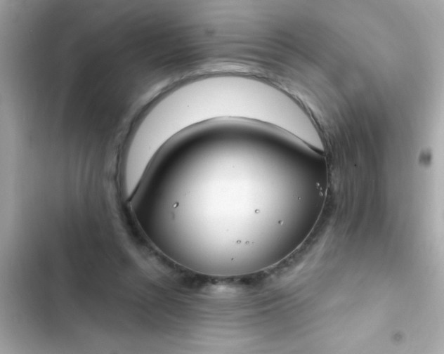 X0000102410352200808152010