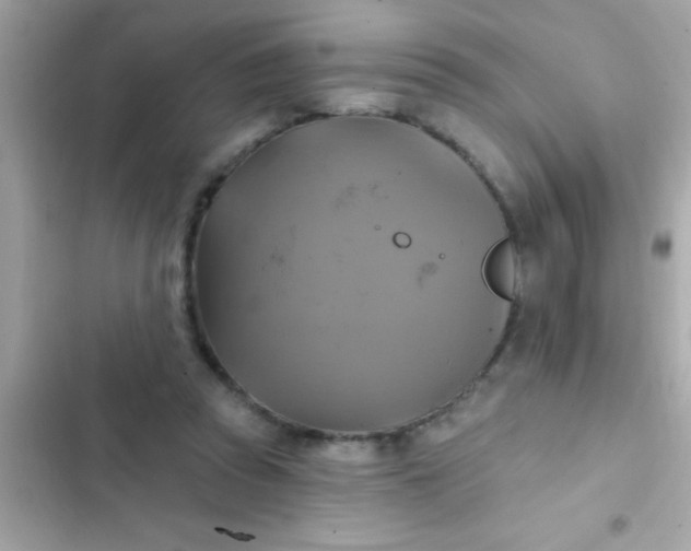 X0000102410353200808152010