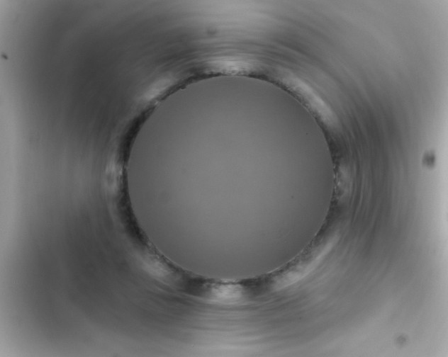 X0000102410355200808152010