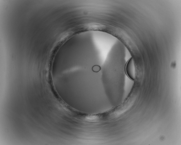 X0000102410357200808152010