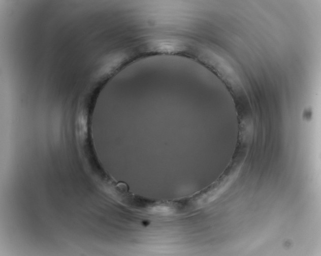 X0000102410358200808152010