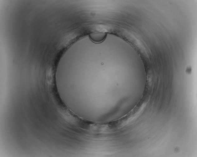 X0000102410359200808152010