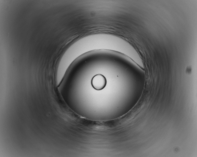 X0000102410360200808152010