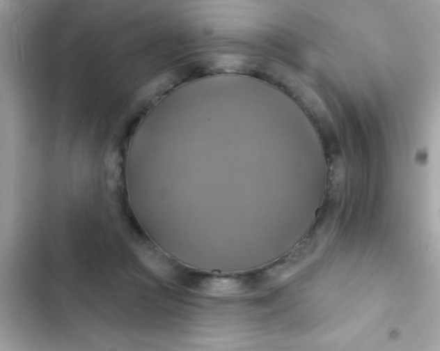 X0000102410361200808152010