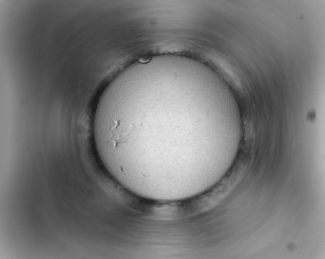 X0000102410362200808152010