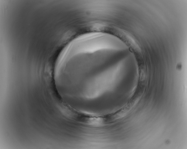 X0000102410363200808152010