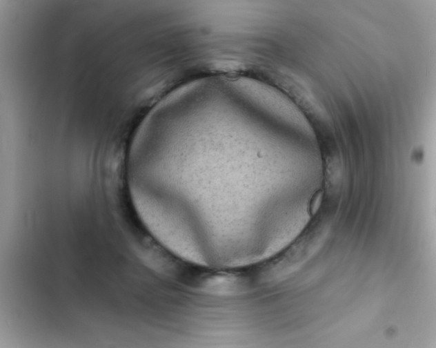 X0000102410364200808152010