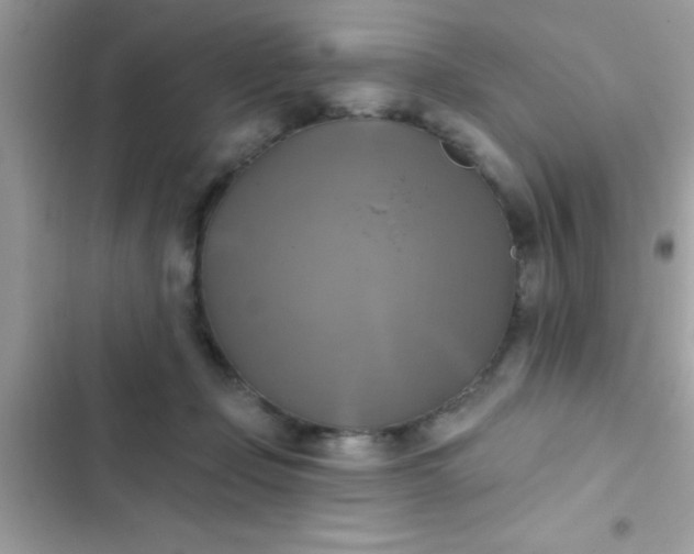 X0000102410365200808152010