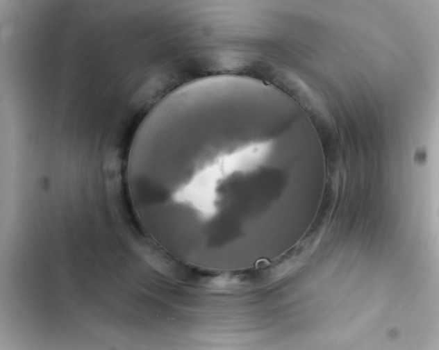 X0000102410366200808152011