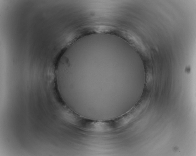 X0000102410367200808152011