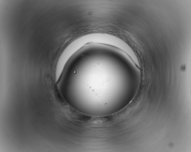 X0000102410368200808152011