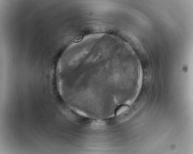 X0000102410369200808152011