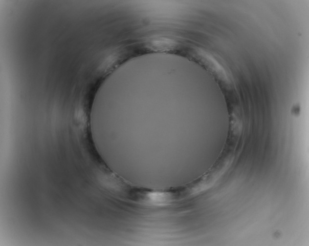 X0000102410371200808152011