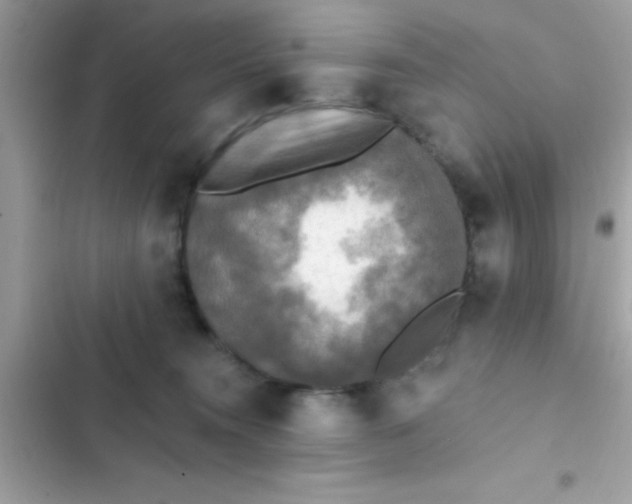 X0000102410372200808152011