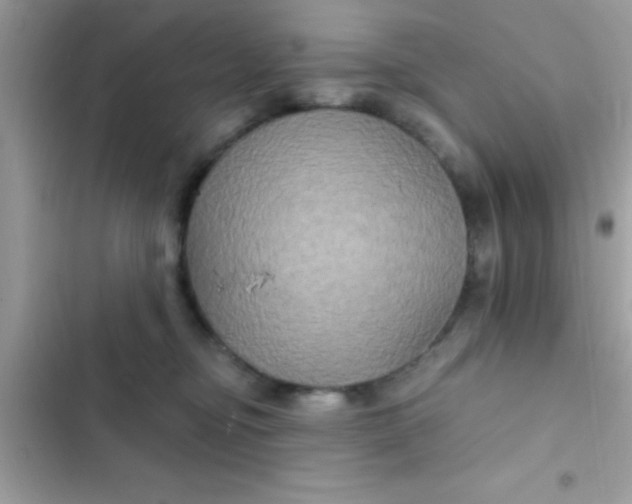 X0000102410374200808152011