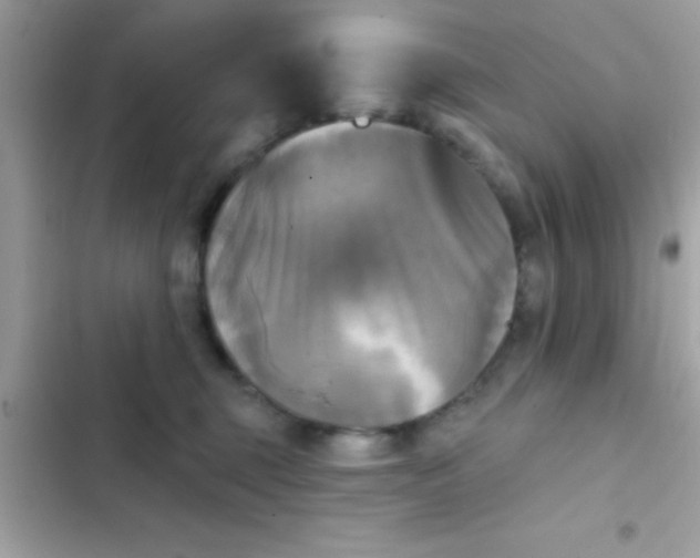 X0000102410375200808152011