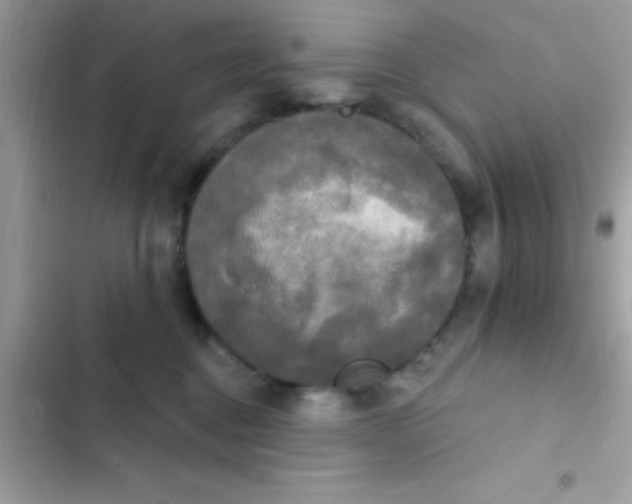 X0000102410376200808152011