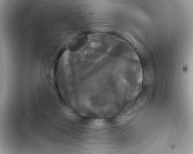 X0000102410377200808152011