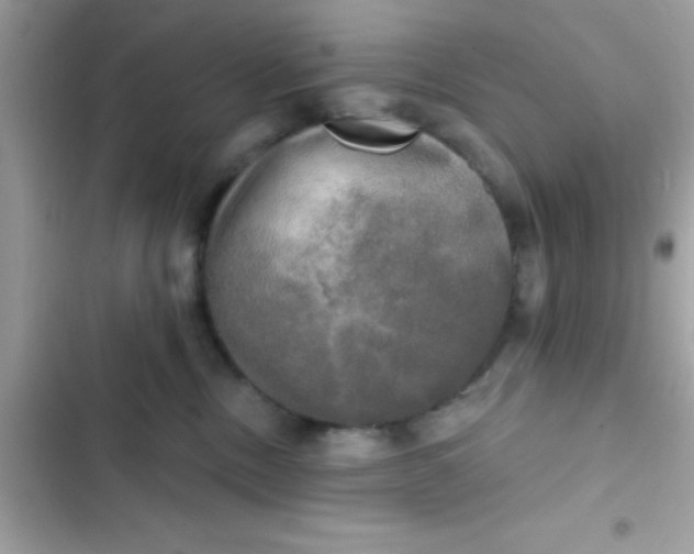 X0000102410378200808152011