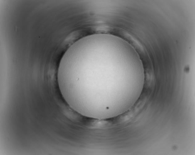 X0000102410379200808152011