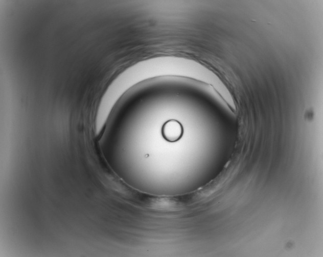 X0000102410380200808152011