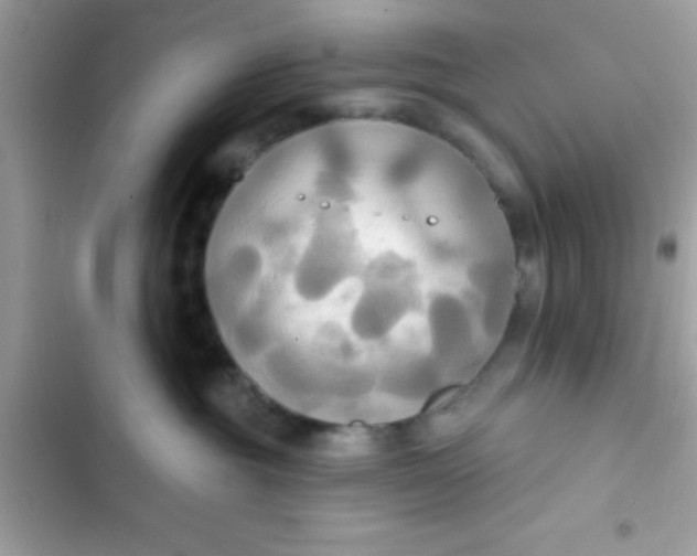 X0000102410381200808152011