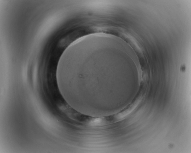 X0000102410382200808152011