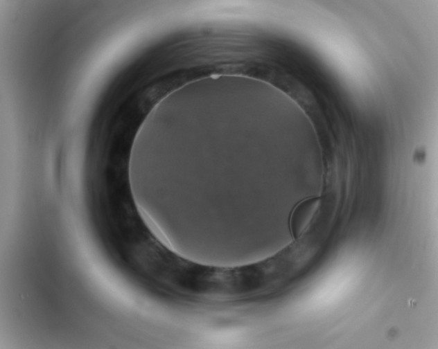 X0000102410383200808152011