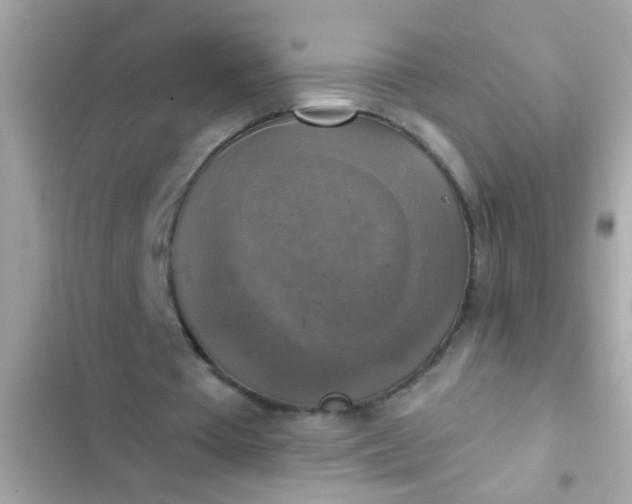 X0000102410385200808152010