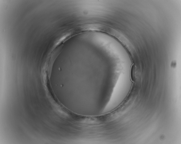 X0000102410386200808152010