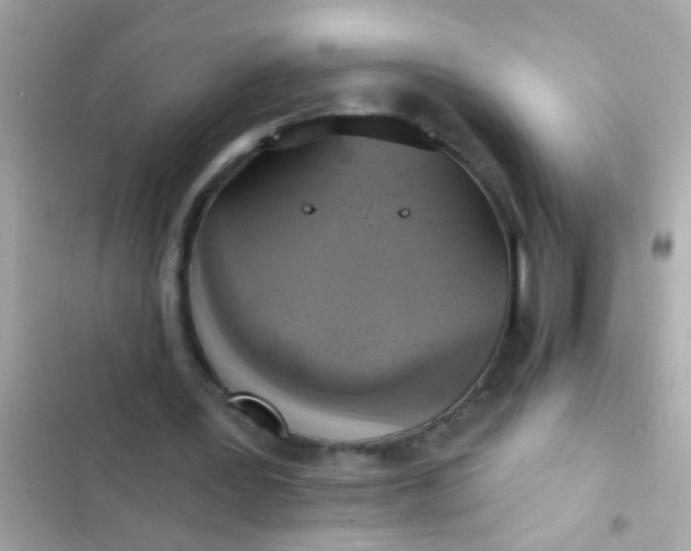 X0000102410387200808152010