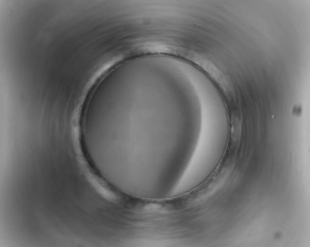 X0000102410390200808152010