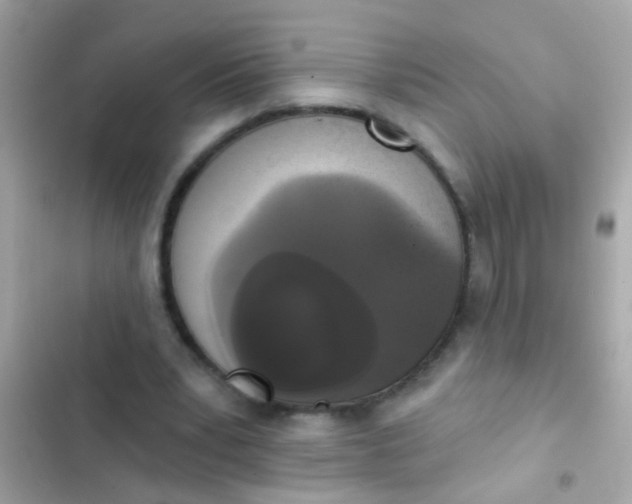 X0000102410391200808152010