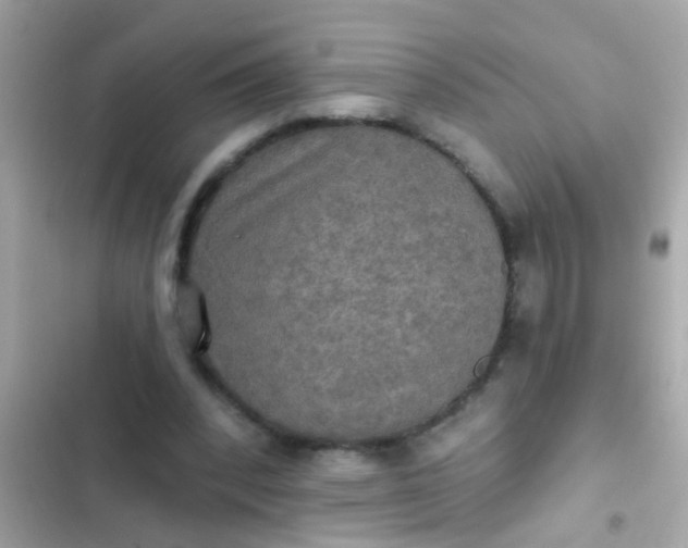 X0000102410392200808152010