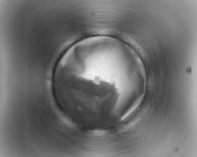 X0000102410394200808152010