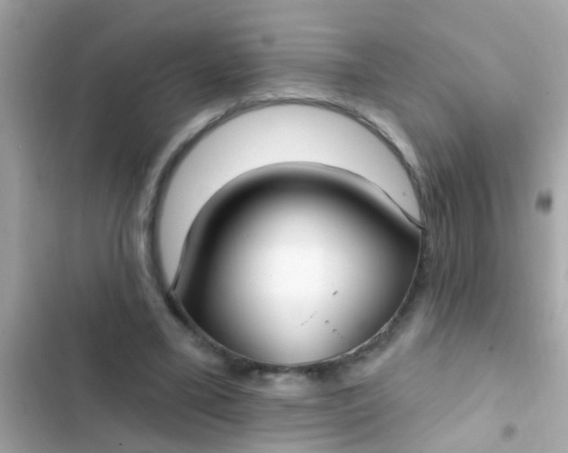 X0000102410395200808152010