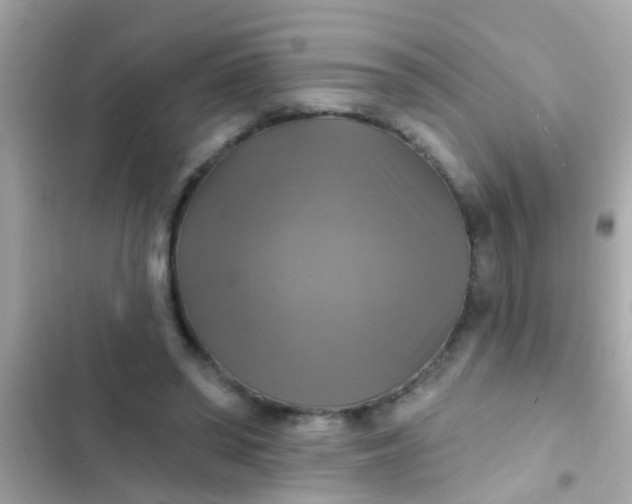 X0000102410398200808152010