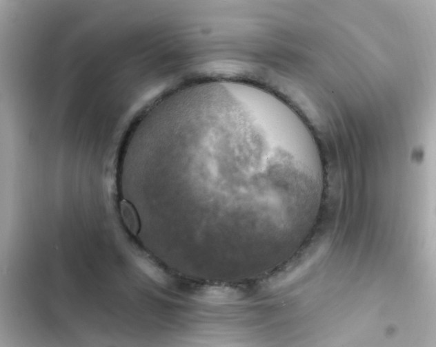 X0000102410399200808152010