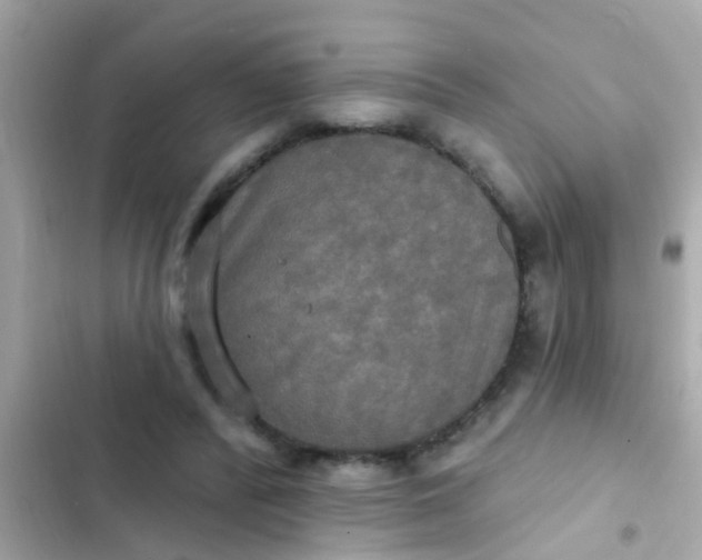 X0000102410400200808152010