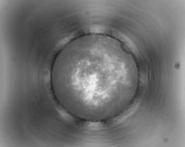 X0000102410401200808152010