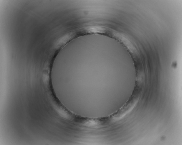 X0000102410402200808152010