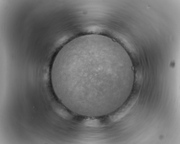 X0000102410403200808152010