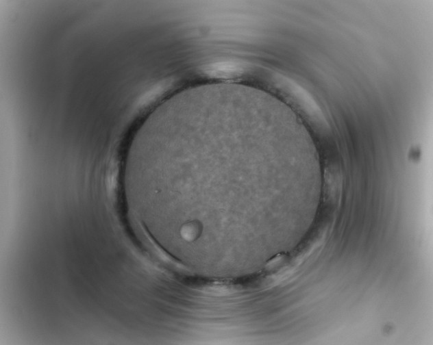 X0000102410404200808152010