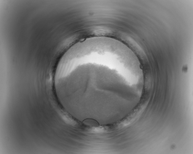 X0000102410405200808152010