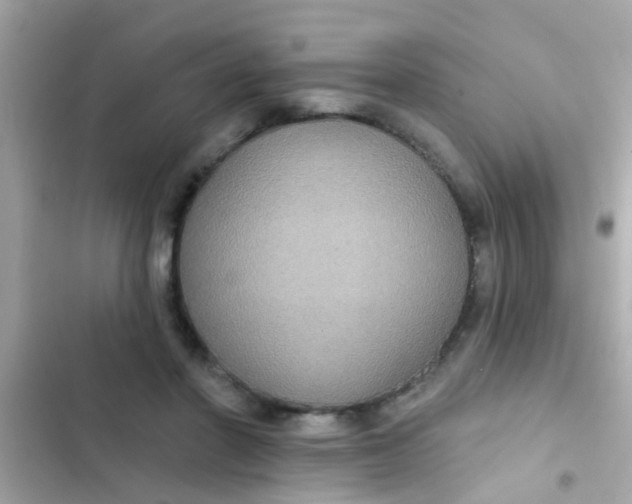 X0000102410406200808152010