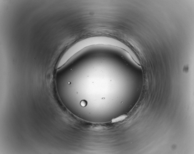 X0000102410407200808152010