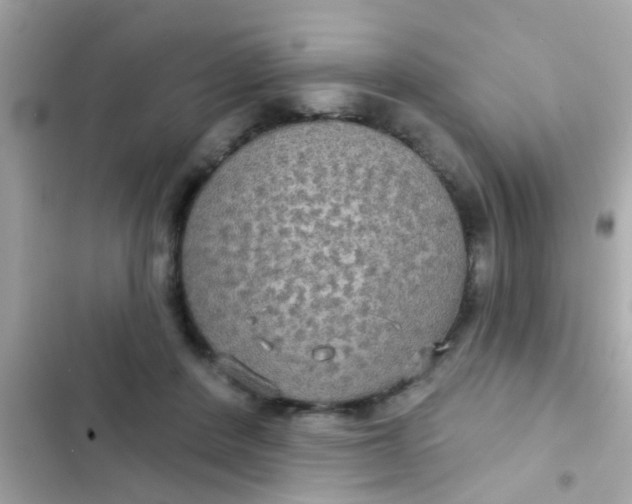 X0000102410408200808152010